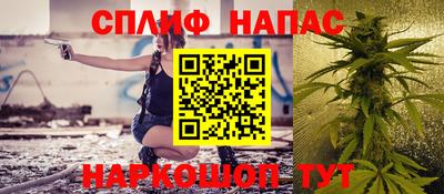 стафф Кинель