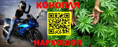 стафф Кинель