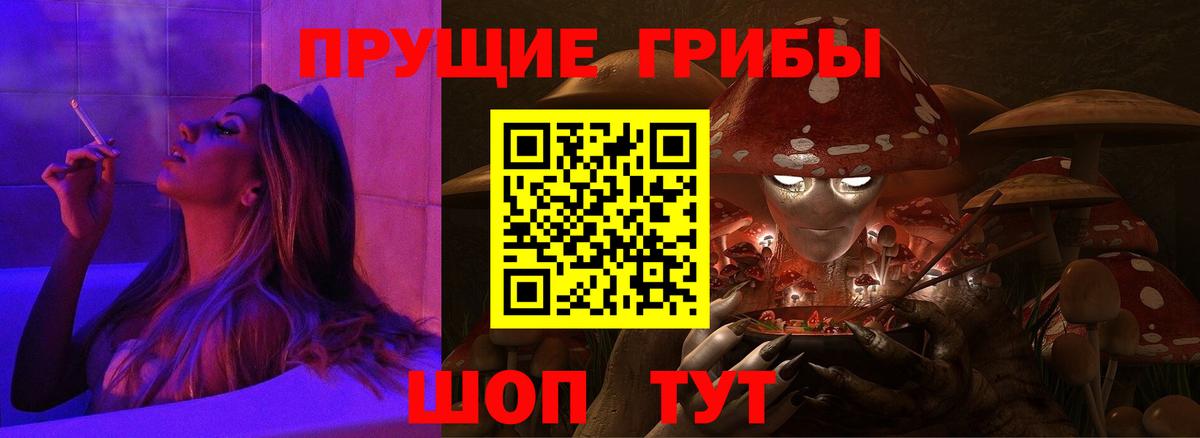 Кузнецк  Галлюциногенные грибы Cubensis  Вход с VPN 